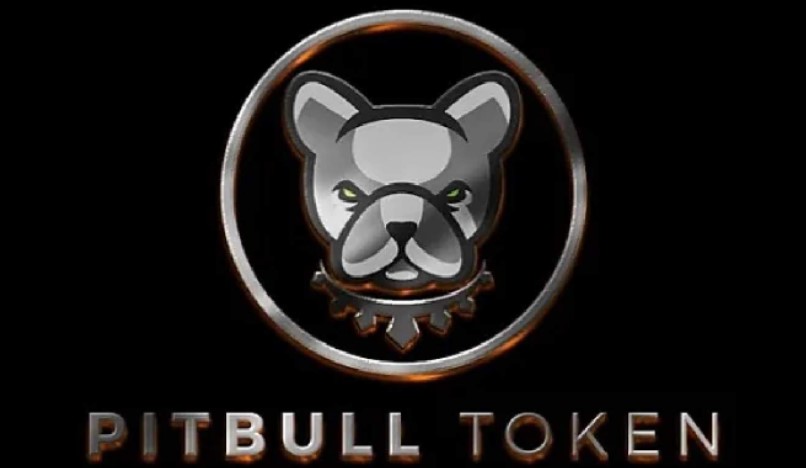 Pitbull Token Fiyat Tahmini