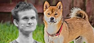 Vitalik shiba ve akita tokenlarının sonunu getirebilir