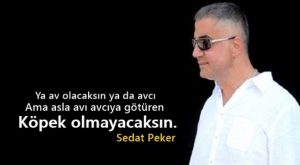 Sedat Peker instagram sözleri