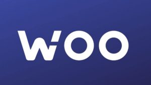 Woo coin nedir?