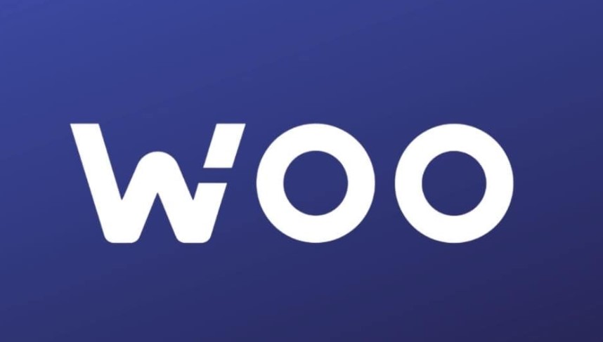 Woo coin nedir?