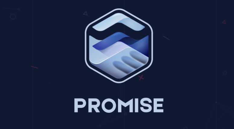 Promise coin nedir