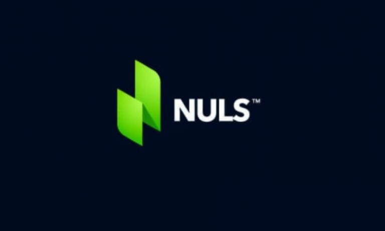 nuls yorum
