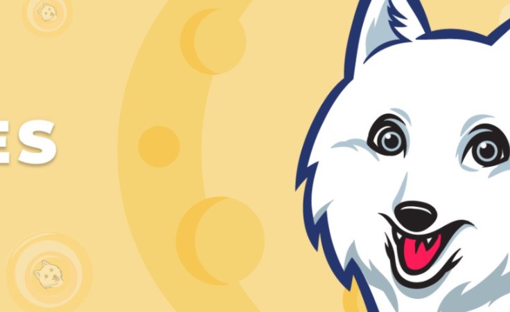 Wolves Finance coin nedir?