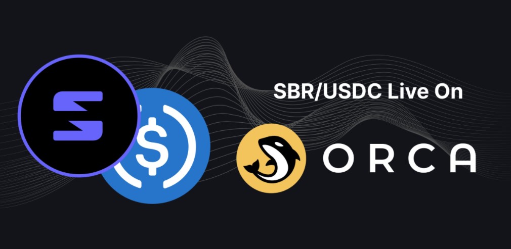 SBR coin nedir?