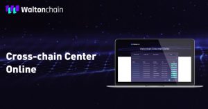 WTC coin nedir?