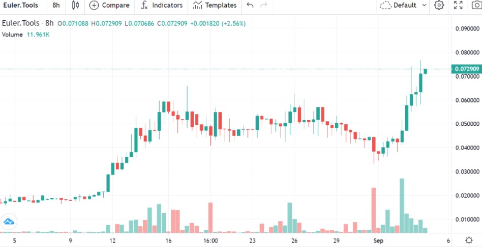 Euler coin yorum