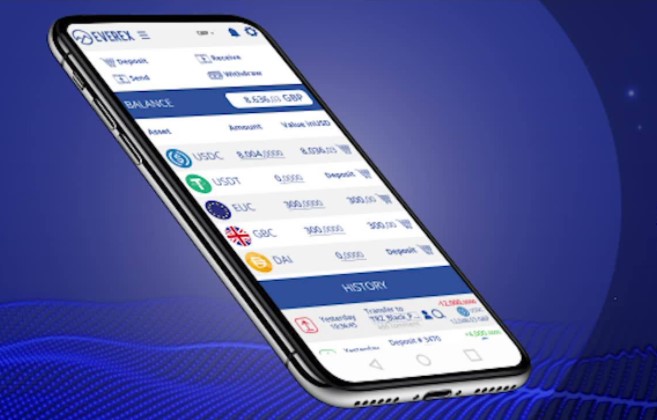 Evx token nedir?