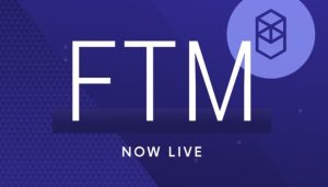 FTM coin nedir