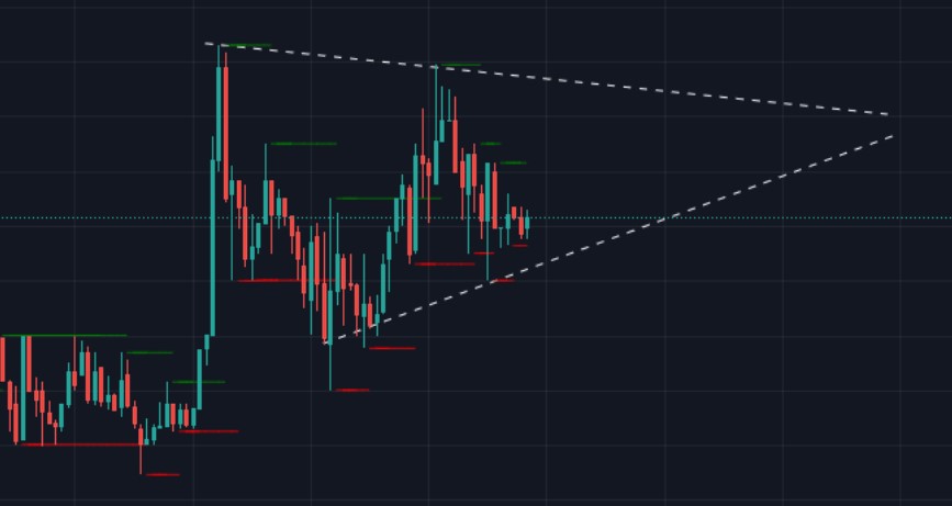 Polydoge token nedir 