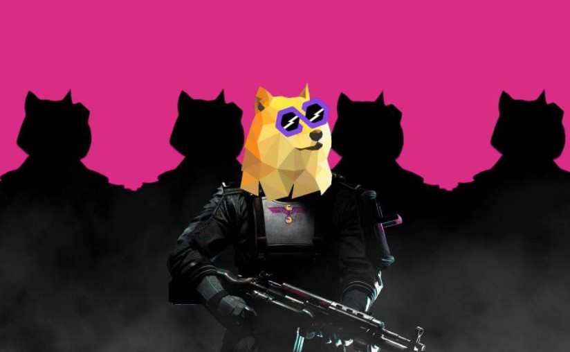 Polydoge coin nedir