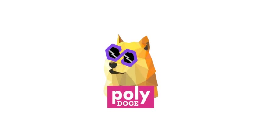 Polydoge coin nedir 