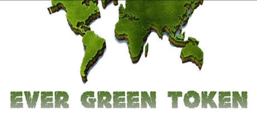 Evergreen token nedir