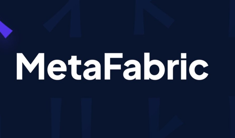 MetaFabric coin nedir (2021 2022) - Fabric coin nedir? 4 MetaFabric coin nedir