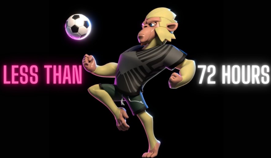 Monkeyball coin nedir