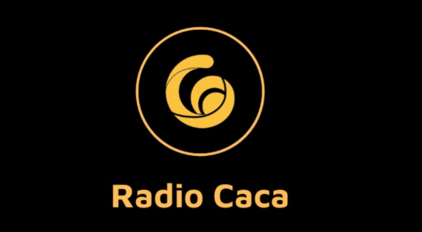 Raca coin yorum