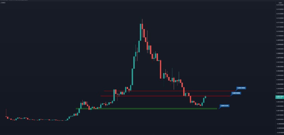 Raca coin yorum