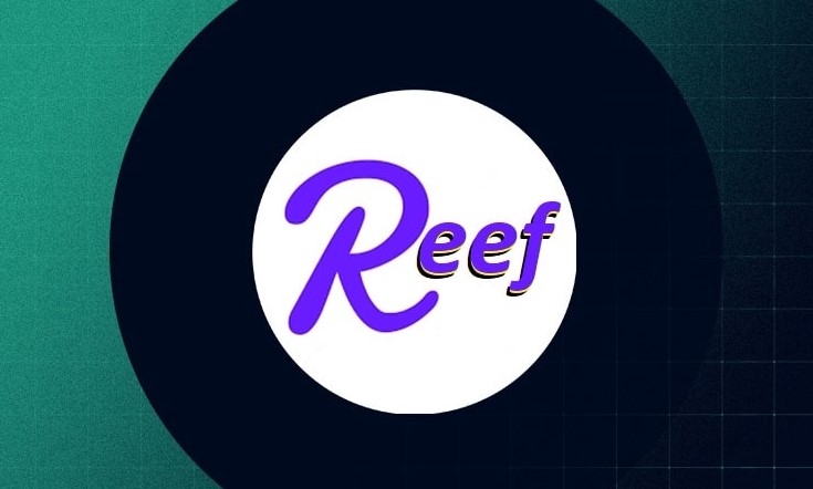 REEF yorum
