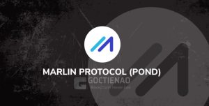 POND coin geleceği 2022