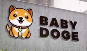 Baby doge coin yorum 2022