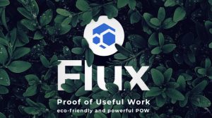 FLUX coin yorum 2022