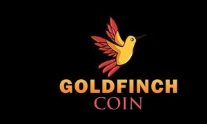 Gfi coin yorum 2022