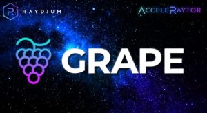 Grape coin nedir?