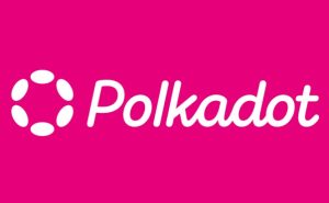 What is polkadot coin