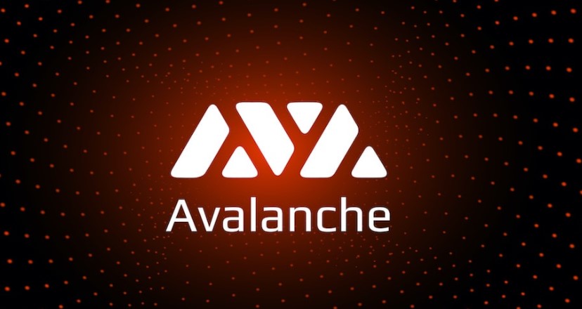 AVAX coin yorum 2022