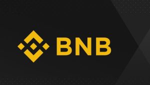 BNB coin yorum 2022