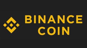 BNB coin fiyatı 2022