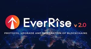 Rise coin geleceği