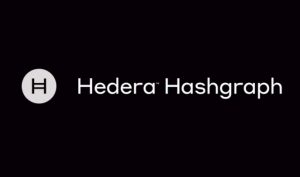 Hedera coin nedir