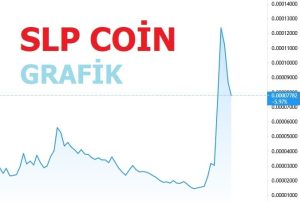 SLP coin grafik