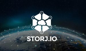 Storj coin yorum