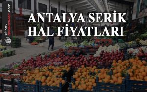 Antalya Serik hal fiyatları 2022