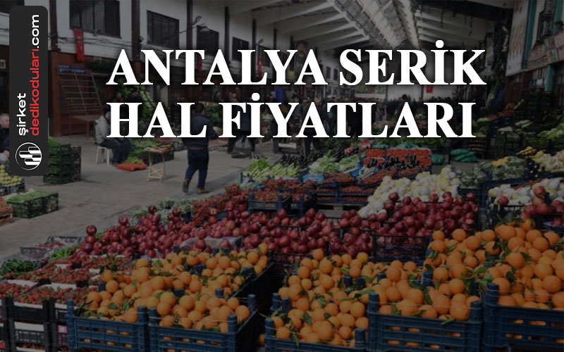 Antalya Serik hal fiyatları 2022