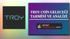 Troy coin yorum 2022