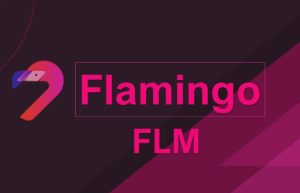 FLM coin yorum 2022
