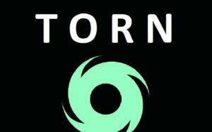 What is TORN coin
