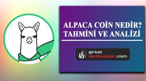 Alpaca coin nedir?