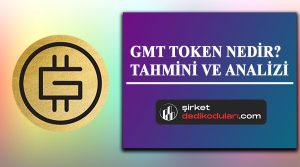 GMT token nedir?