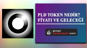 PLD coin nedir?