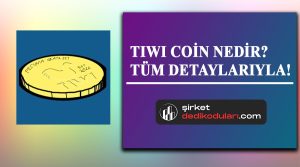TIWI coin nedir?