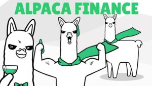 Alpaca coin price prediction