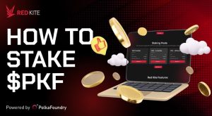 PolkaFoundry token nedir