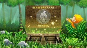 Primate token nedir