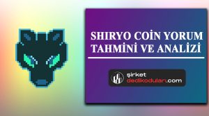 Shiryo coin yorum 2022
