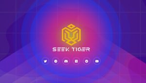 STI coin yorumu 2022