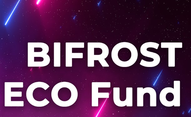 What is BFC Token